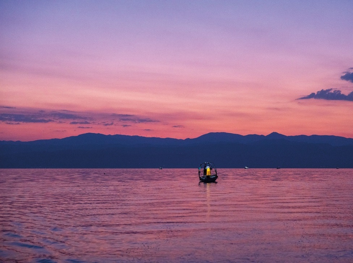 Γιατί η γάμπαρη του Αμβρακικού θεωρείται τόσο ξεχωριστή;