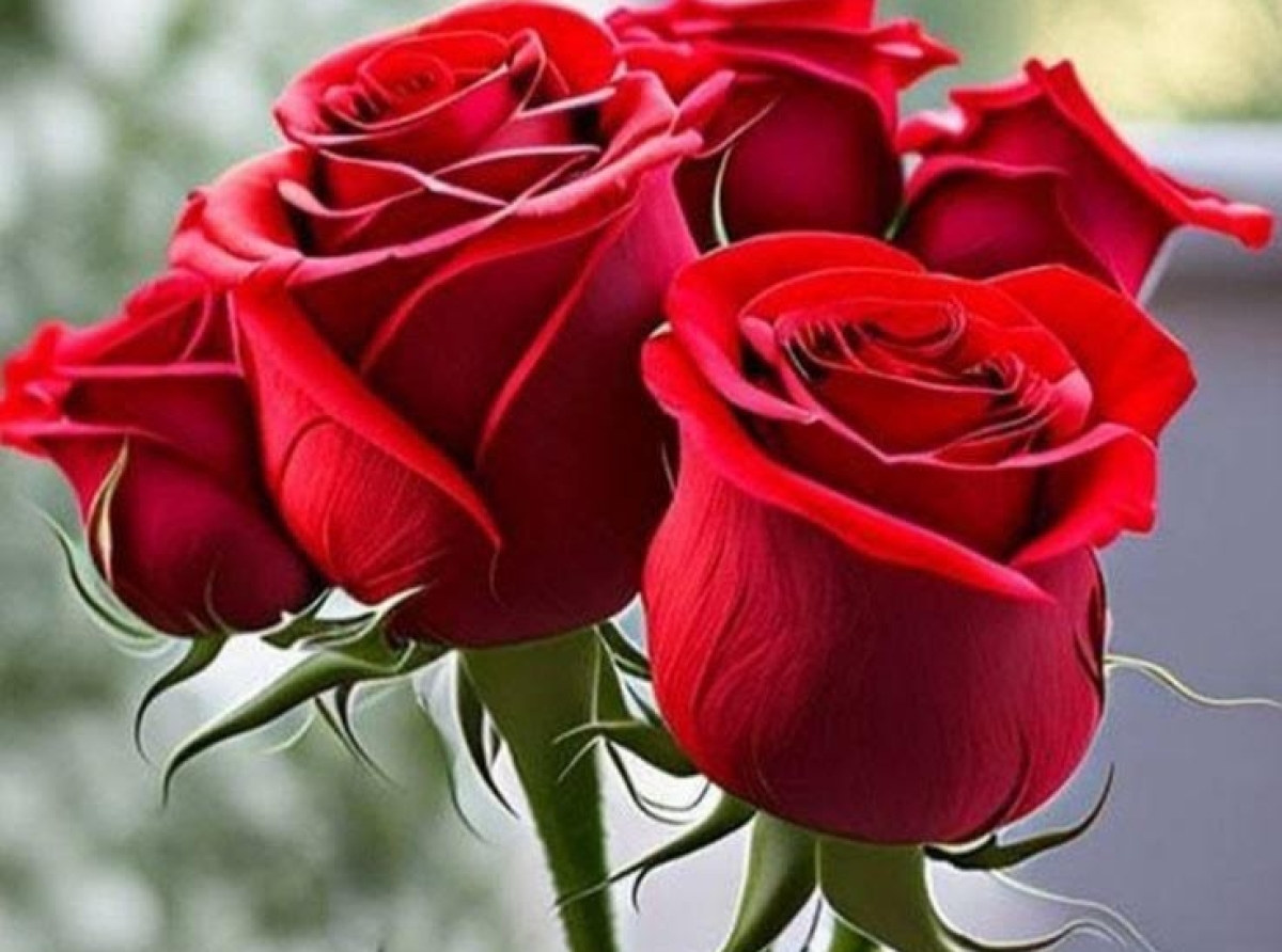 8η Μαρτίου: Τιμή στη Γυναίκα, Αγώνας για Ισότητα