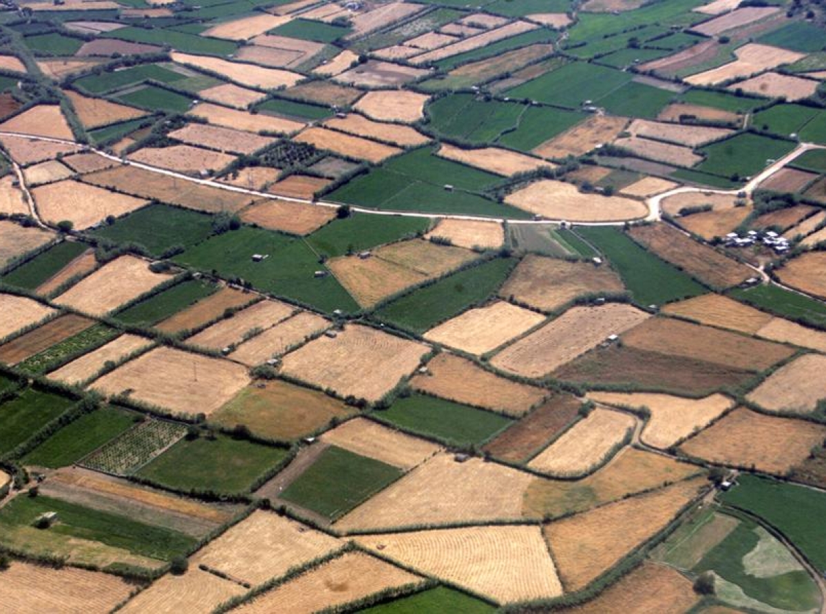 Καθαρισμός οικοπέδων 2025: Υπόχρεοι, πρόστιμα, δηλώσεις, προθεσμία