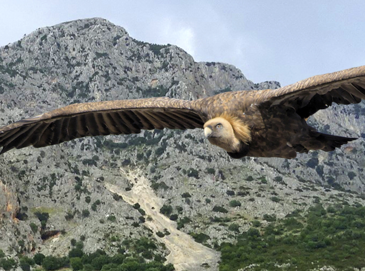 Νέα εξοργιστικά στοιχεία στο φως για τα Αιολικά στα Ακαρνανικά: μεγάλες εταιρείες πίσω από τις «Ενεργειακές Κοινότητες»!