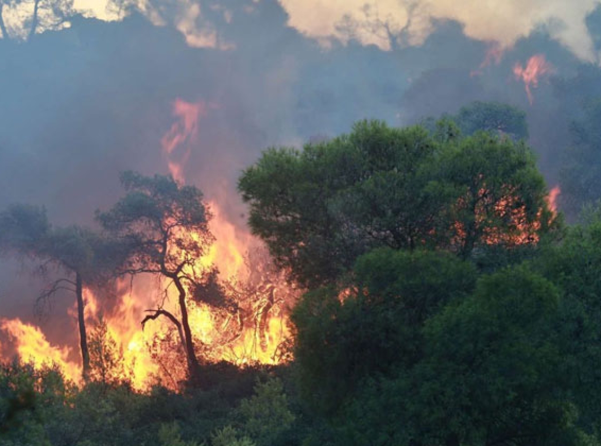 Φωτιά τώρα στην Άρτα – Μήνυμα του 112 για εκκένωση