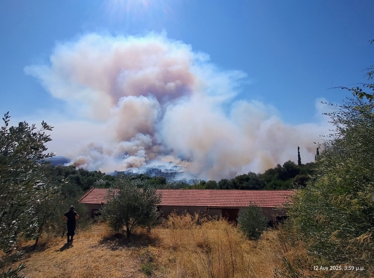 Μήνυμα Δημάρχου Ιερής Πόλης Μεσολογγίου για την πυρκαγιά στη Σταμνά
