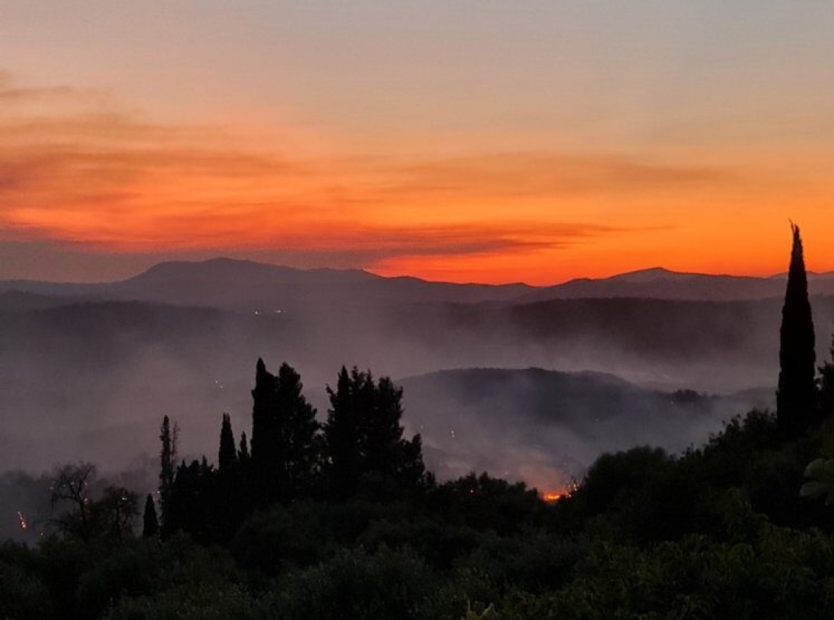 Σταμνά: «Μαύρη μέρα ξημέρωσε, χιλιάδες καμένα στρέμματα ελιές και περιβόλια», λένε οι κάτοικοι