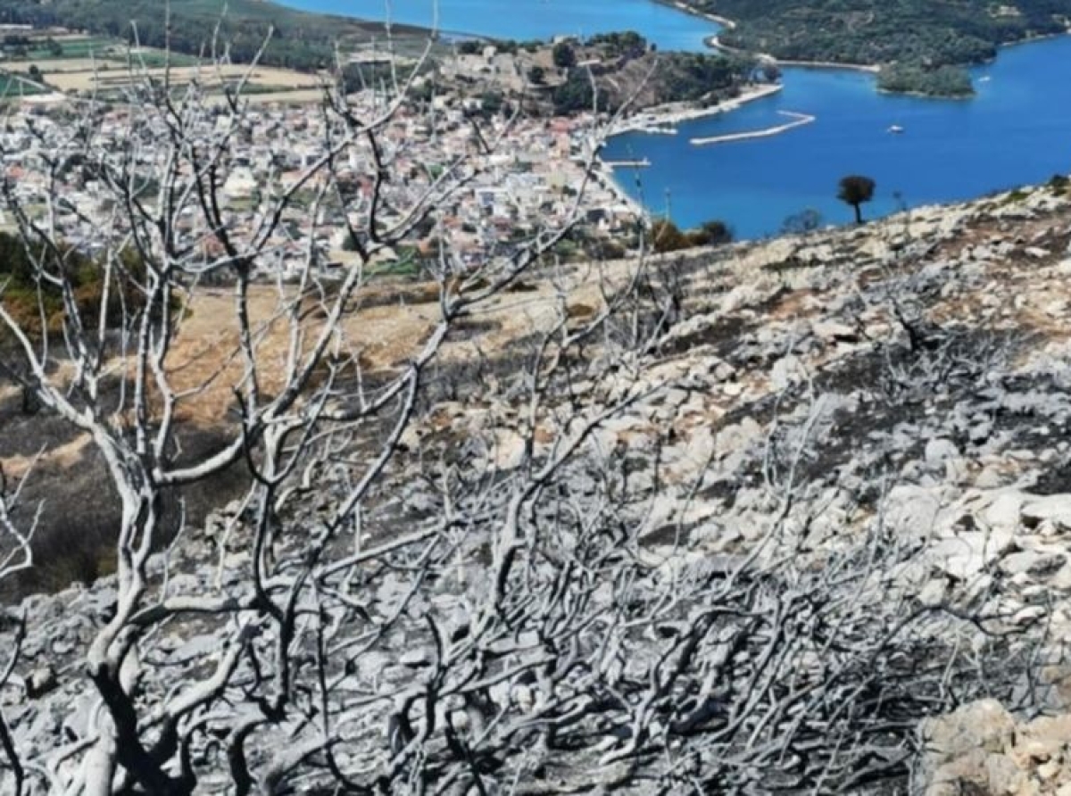 Απογοητεύει η εικόνα με τα αποκαΐδια από την κορυφή του Αμαδαρού στη Βόνιτσα