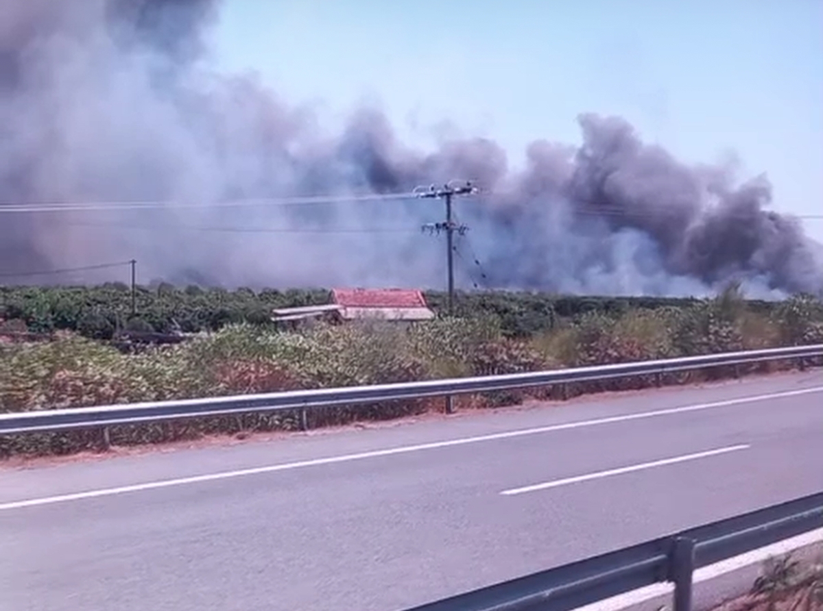Φωτιά από σκασμένο λάστιχο φορτηγού στον κάμπο της Γουριώτισσας