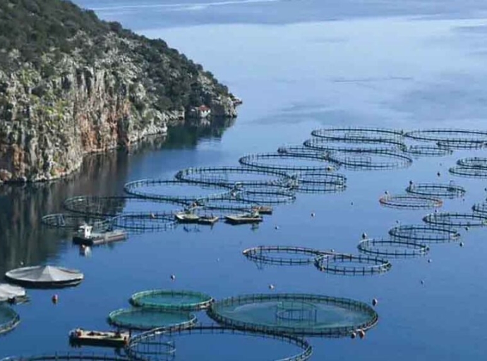 «SOS για τον Αμβρακικό»