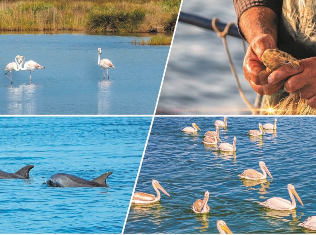 Αμφιλοχία: Ημερίδα για τον Αμβρακικό Κόλπο και τις Στρατηγικές Βιωσιμότητας