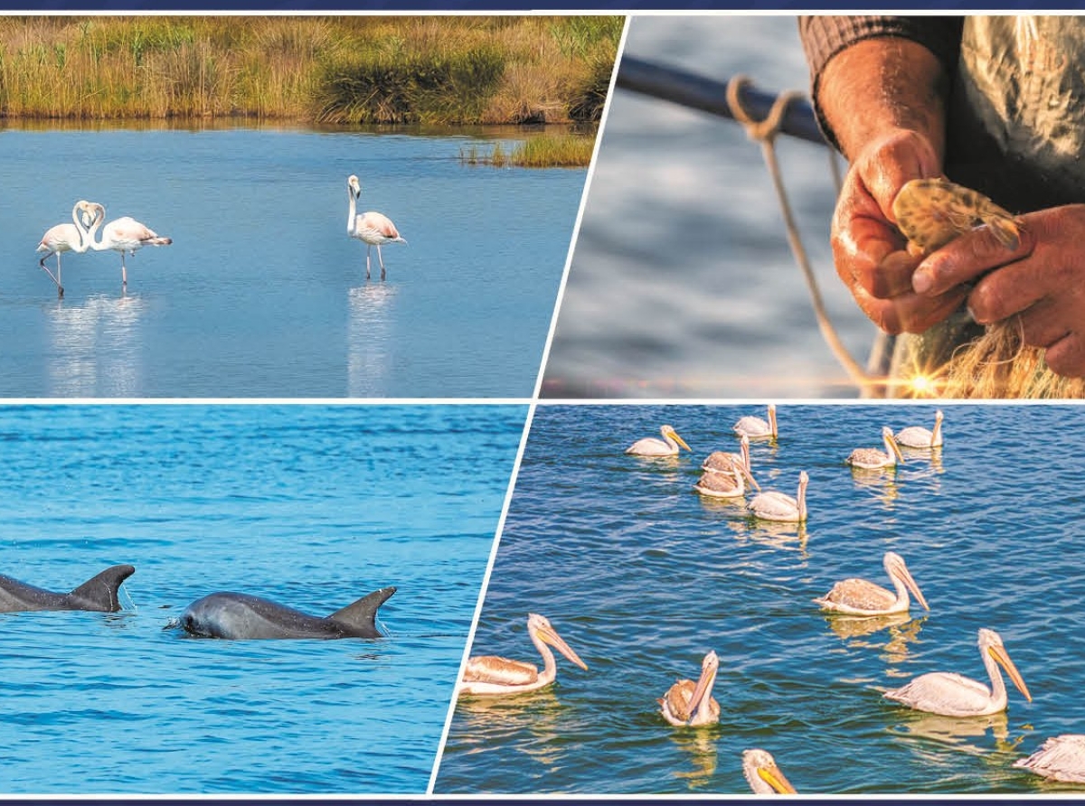 Το Σάββατο 6 Δεκεμβρίου η ημερίδα για τον Αμβρακικό Κόλπο και τις Στρατηγικές Βιωσιμότητας από τον Δήμο Αμφιλοχίας σε συνεργασία με την Περιφέρεια Δυτικής Ελλάδας