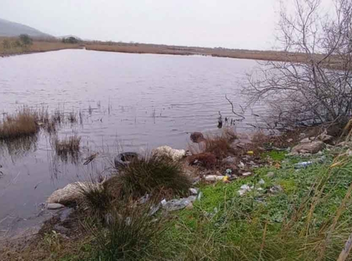 Αιτωλικό: Σοκ από πεταμένα νεκρά πρόβατα στη λιμνοθάλασσα – Στη Δικαιοσύνη η υπόθεση