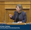 Χριστίνα Σταρακά: «Να δοθεί τώρα λύση στον δρόμο Αλευράδας – γέφυρας Τατάρνας»