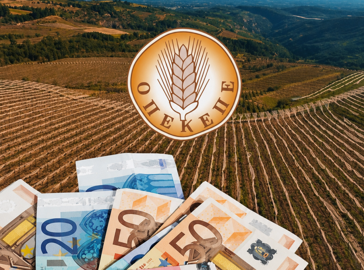 ΟΠΕΚΕΠΕ – «Θερισμός» στις παράνομες επιδοτήσεις: Πώς εξαρθρώθηκε το κύκλωμα σε Κοζάνη και Αγρίνιο
