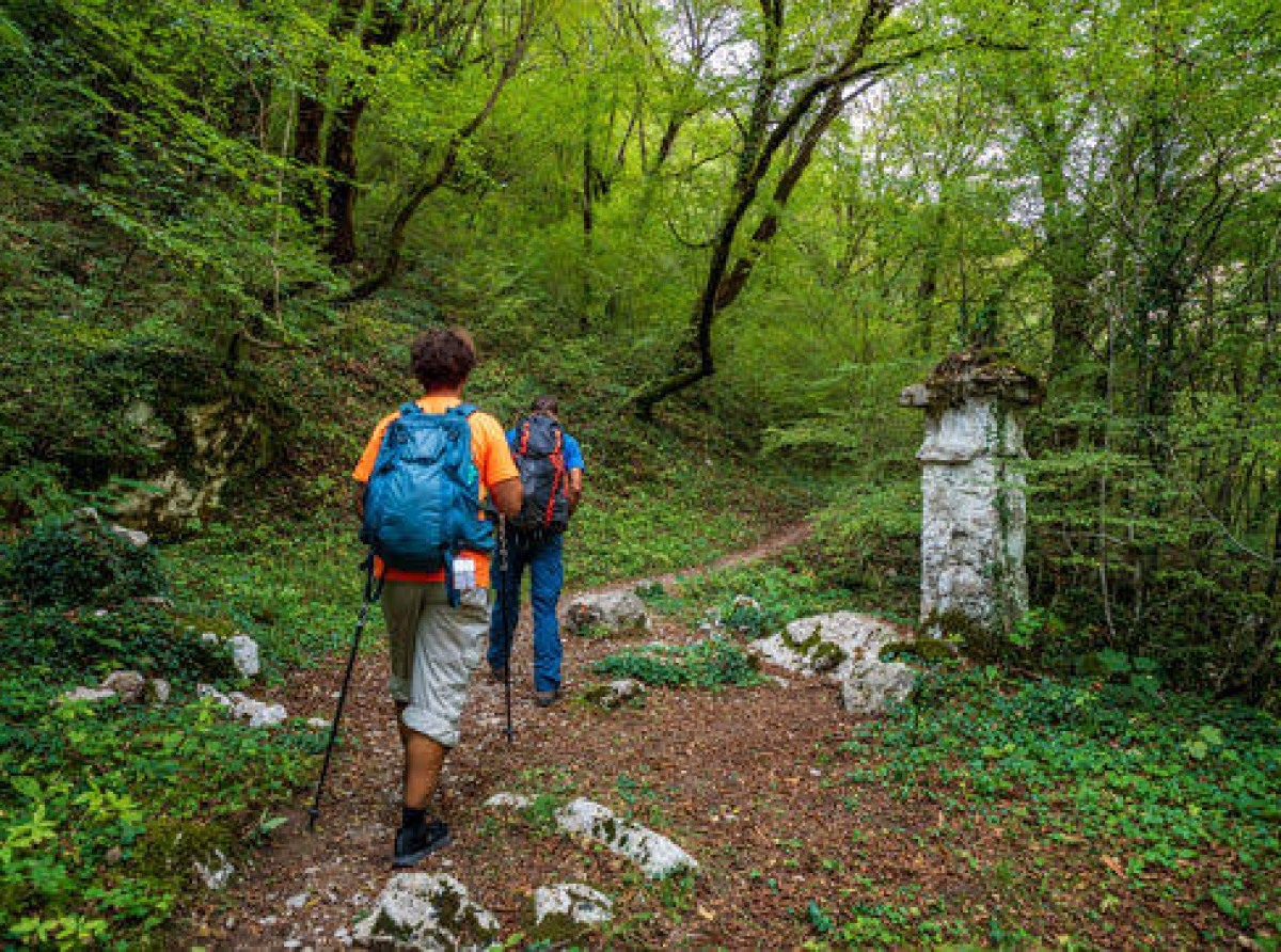 Η χρηματοδότηση για τα μονοπάτια στο Δήμο Αμφιλοχίας εγκρίθηκε, αλλά το έργο κινδυνεύει να χαθεί