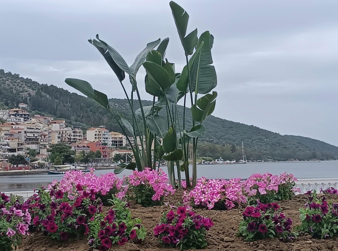 Νέο τοπικό Brand για τα προϊόντα και τον τουρισμό της Αμφιλοχίας και της Βόνιτσας