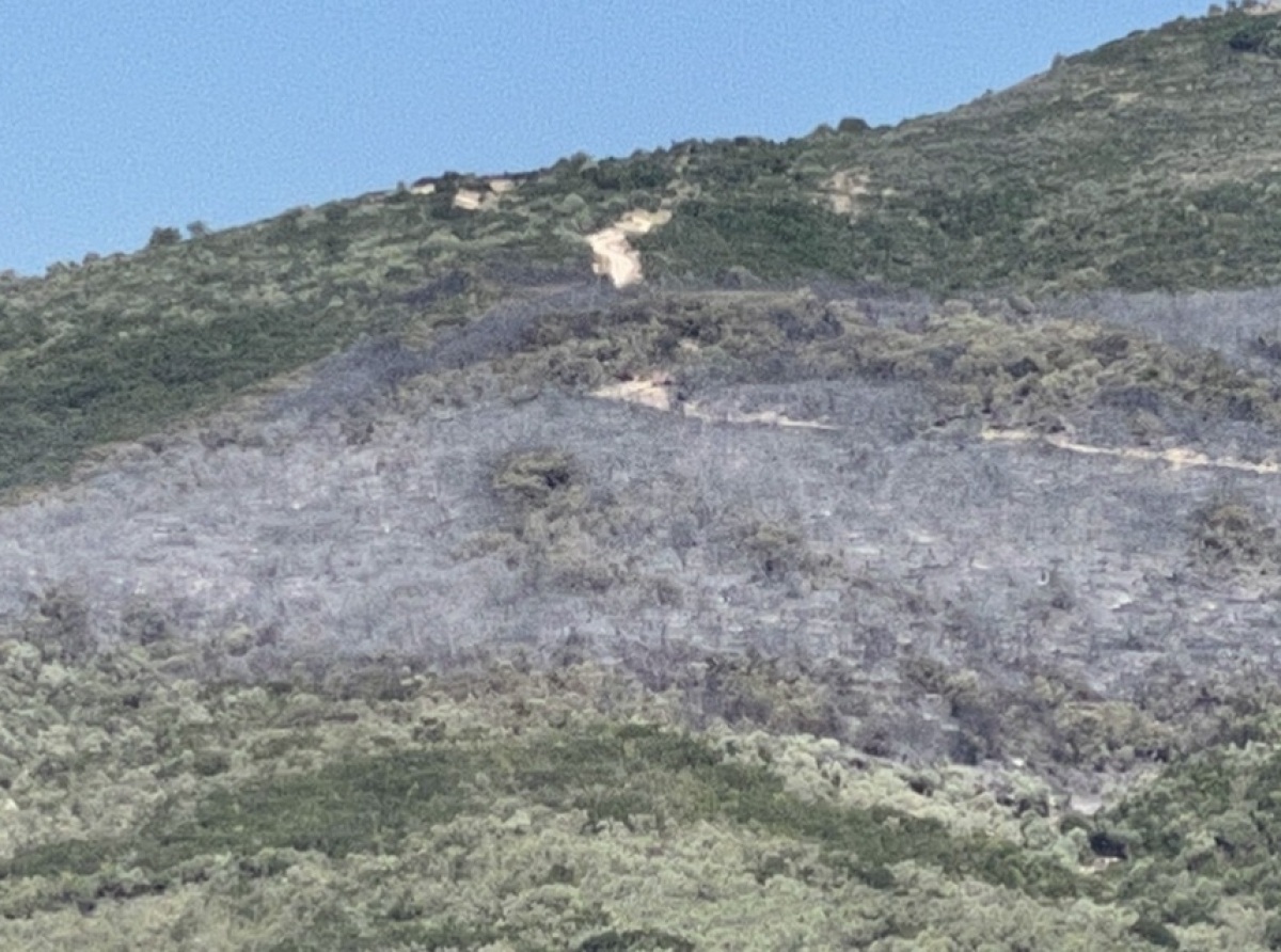 Κατασβέστηκε η πυρκαγιά στη Στάνο Αμφιλοχίας – Δεν υπάρχουν πλέον ενεργές εστίες