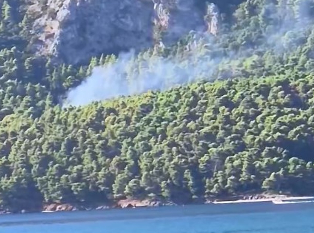 Φωτιά στο πευκοδάσος του Καλάμου απέναντι από τον Μύτικα, ρίψεις από εναέρια