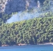 Φωτιά στο πευκοδάσος του Καλάμου απέναντι από τον Μύτικα, ρίψεις από εναέρια